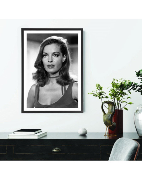  Tableau Romy Schneider