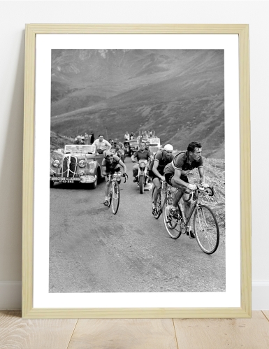 Tableau Tour de France 1950