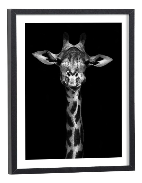Tableau Girafe noir et blanc