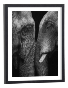 Affiche éléphant noir et blanc