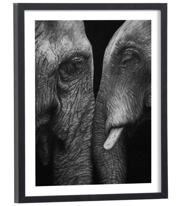 Affiche éléphant noir et blanc