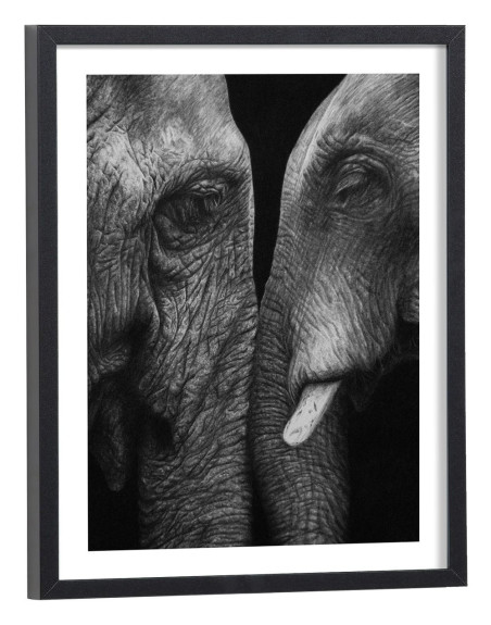 Affiche éléphant noir et blanc
