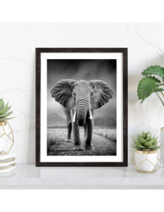 Affiche éléphant 2