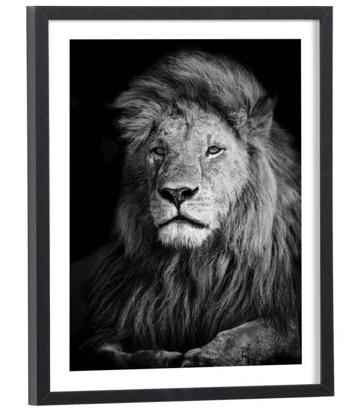 Tableau lion noir et blanc