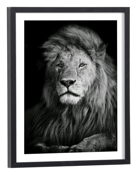 Tableau lion noir et blanc