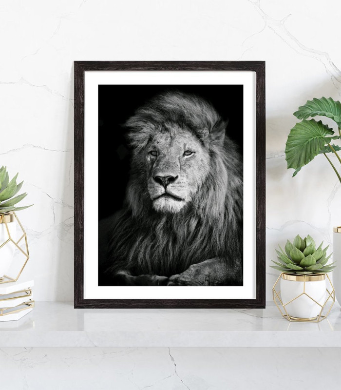  Affiche de lion en noir et blanc