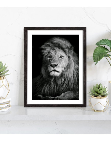  Affiche de lion en noir et blanc