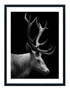 Tableau cerf noir et blanc