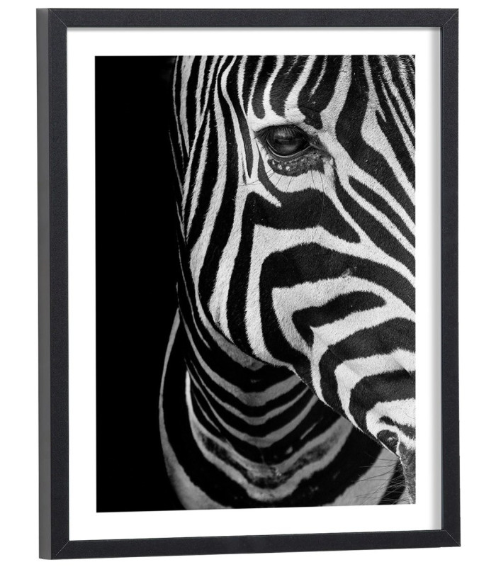 Tableau Zèbre noir et blanc