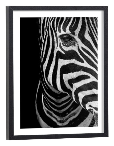 Tableau Zèbre noir et blanc