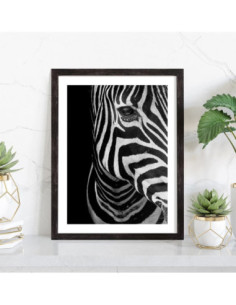 Tableau Zèbre noir et blanc 2