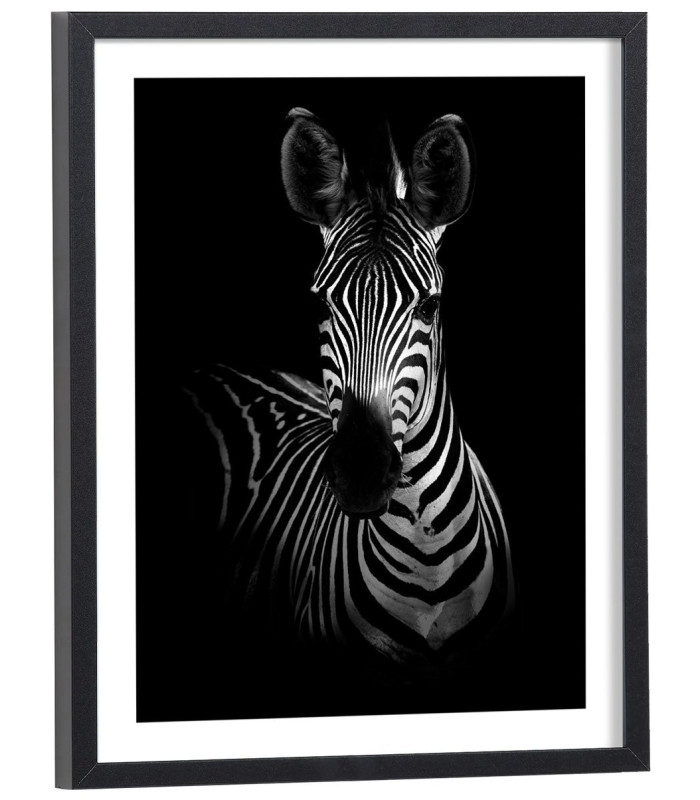 Tableau zèbre noir et blanc