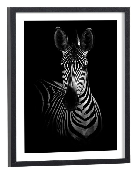 Tableau zèbre noir et blanc