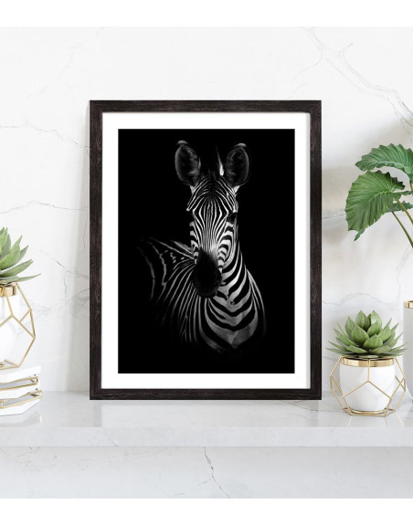  Affiche animal : zèbre fond noir