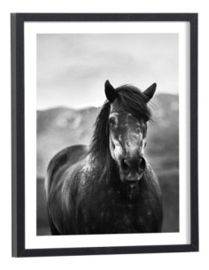 Tableau cheval noir et blanc