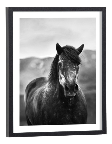 Tableau cheval noir et blanc