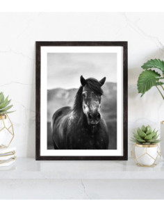 Tableau cheval noir et blanc 2