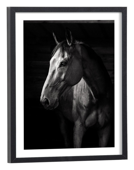 Tableau cheval fond noir