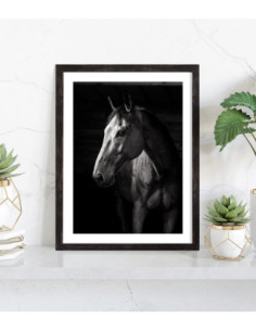 Tableau cheval fond noir 2