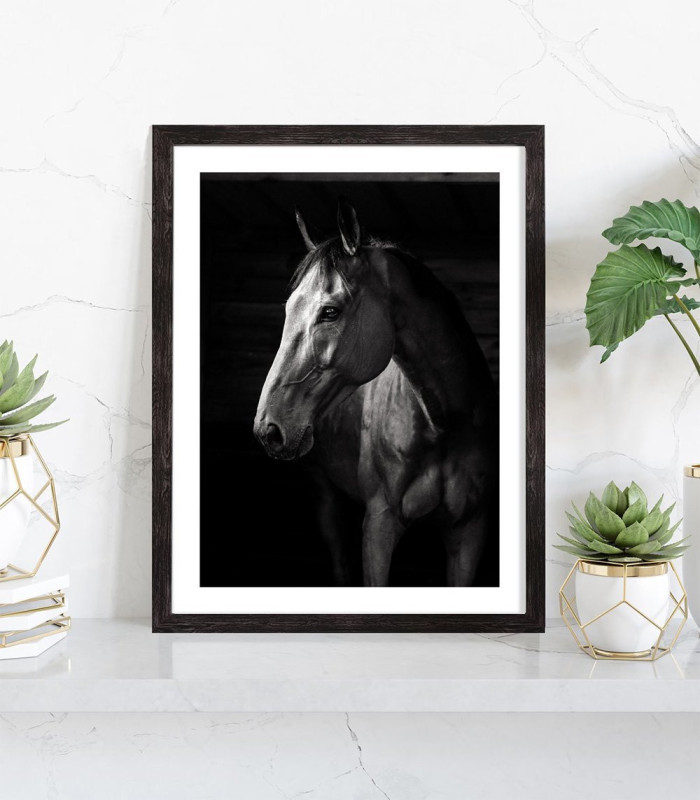  Affiche décoration cheval