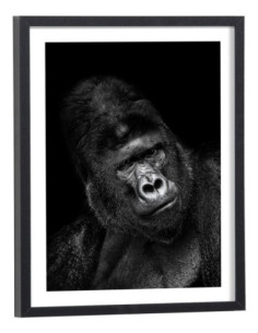 Affiche singe noir et blanc