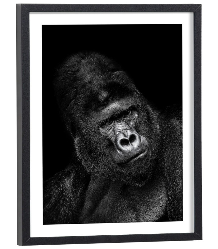 Affiche singe noir et blanc
