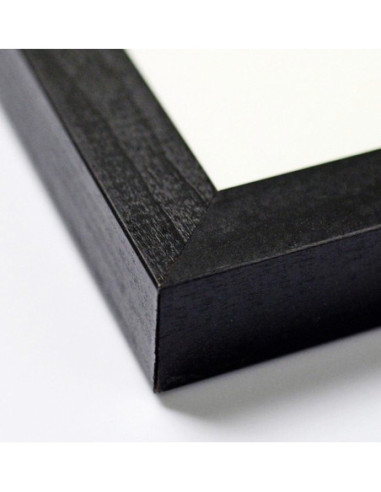 Tavleau Pokemon - Eevee Evolution affiche