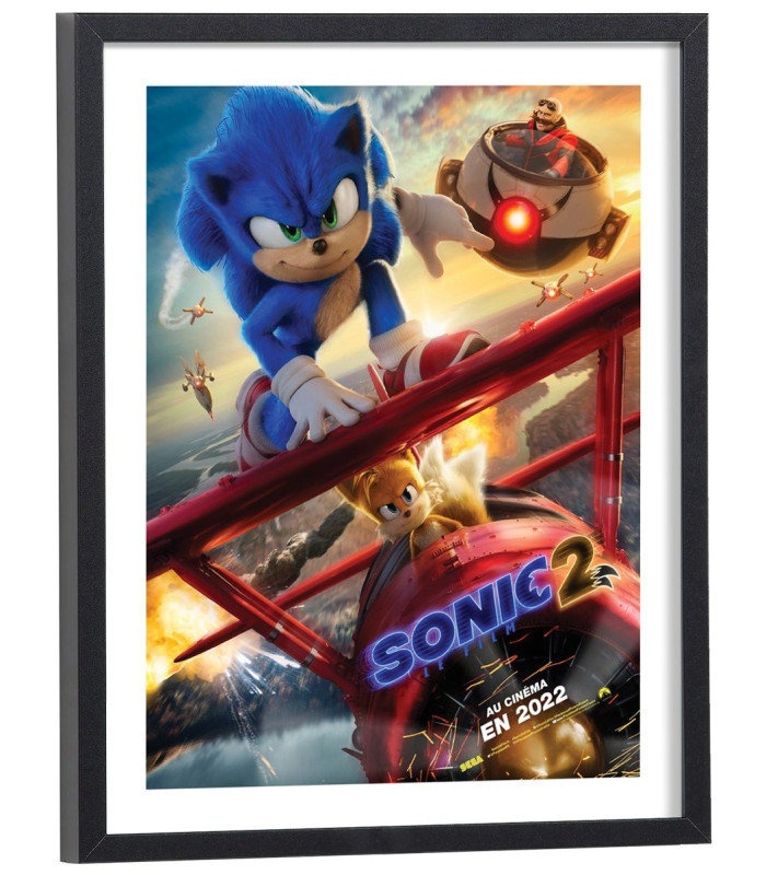 Affiche Sonic 2 le film