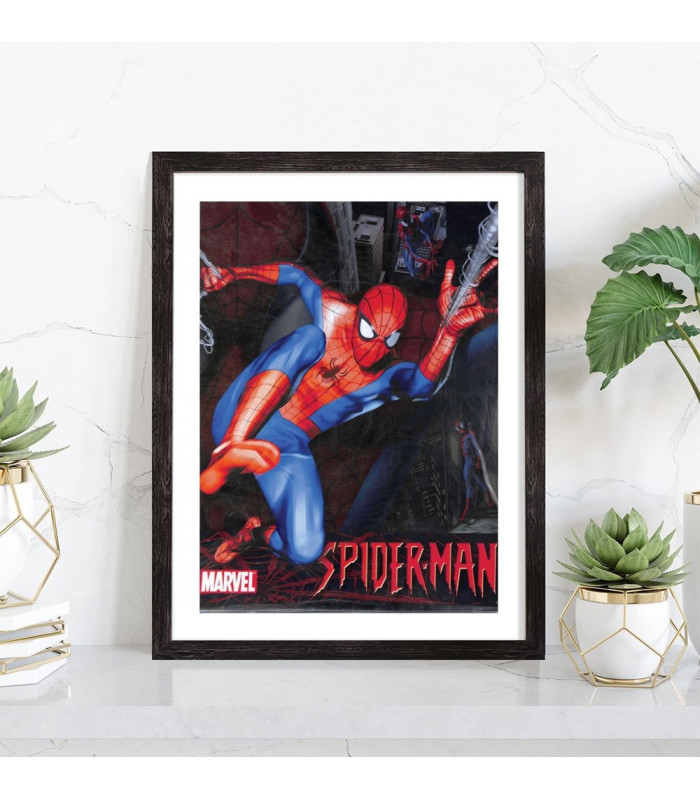  Affiche Spiderman Original