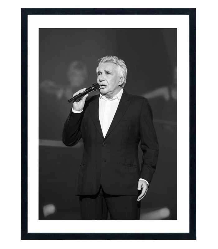 Tableau Michel Sardou - Affiche chanteur français