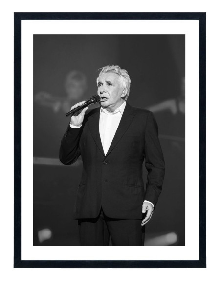 Tableau Michel Sardou - Affiche chanteur français