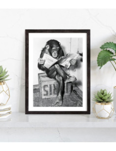 Affiche singe lit journal 2
