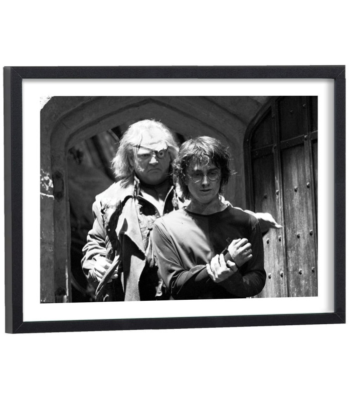 Tableau Harry Potter