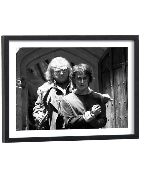 Tableau Harry Potter