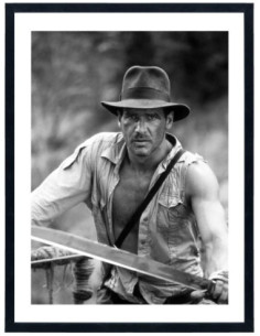 Tableau Indiana Jones