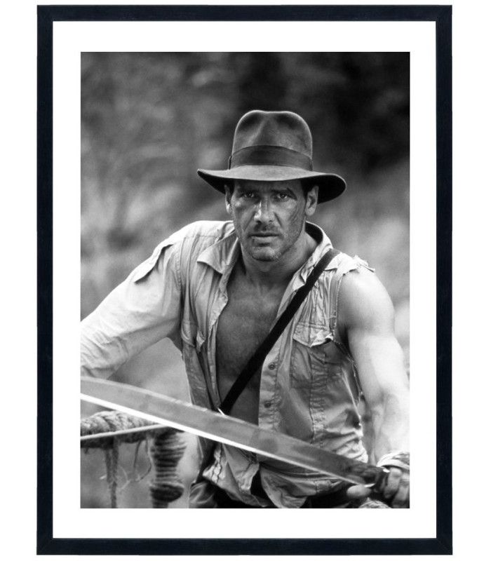 Tableau Indiana Jones