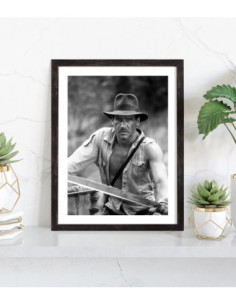 Tableau Indiana Jones 2