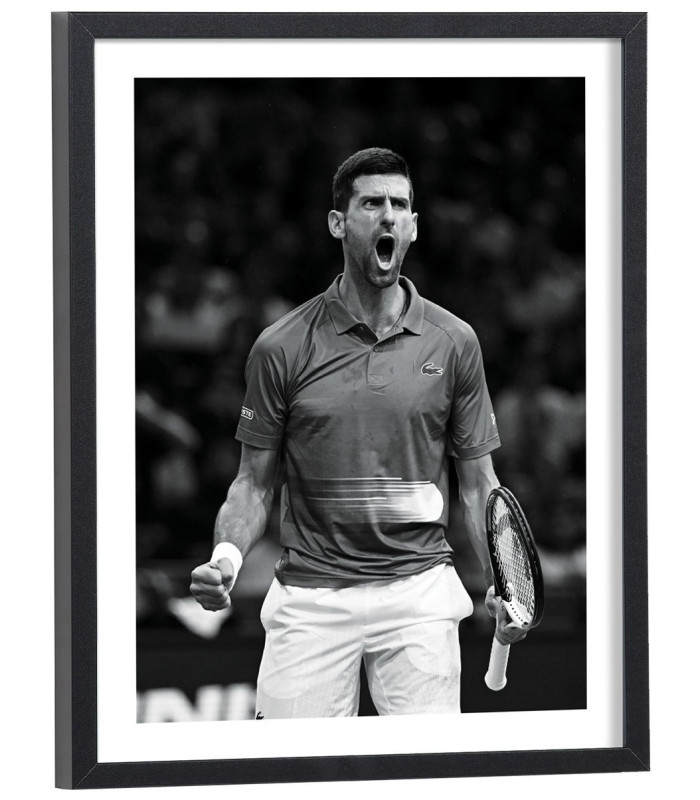 Tableau tennis Novak Djokovic