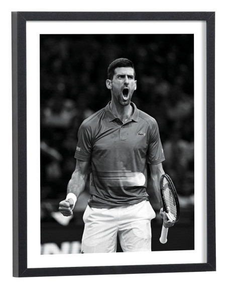 Tableau tennis Novak Djokovic