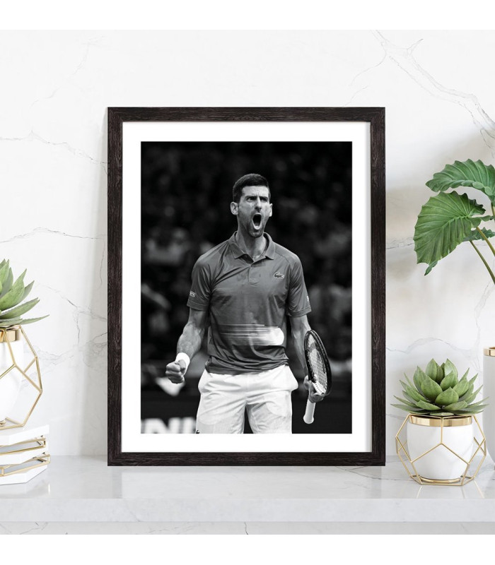  Affiche Djokovic