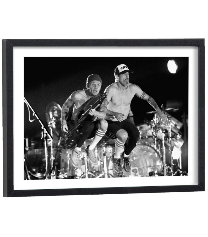 Tableau Red Hot Chili Peppers
