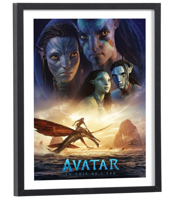 Affiche film Avatar 2