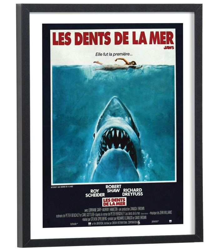 Affiche film Les dents de la mer