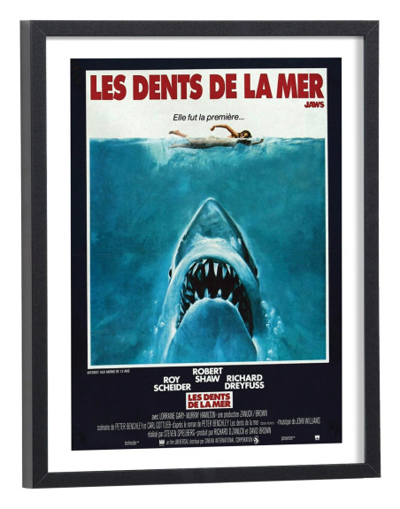 Affiche film Les dents de la mer