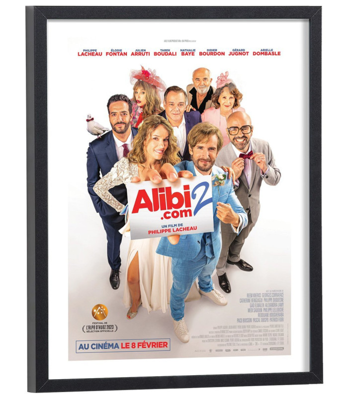 Affiche film Alibi.com 2