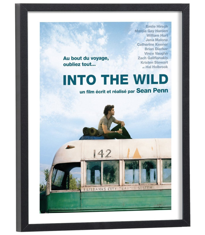 Affiche film Into the wild