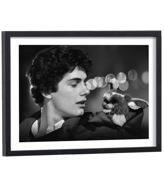 Affiche film les Gremlins