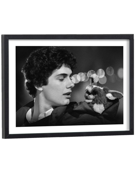 Affiche film les Gremlins