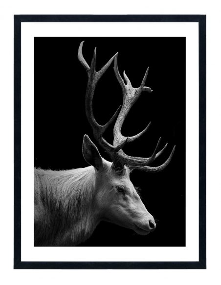 Tableau cerf noir et blanc