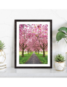 Affiche Cerisiers en fleur Sakura 2